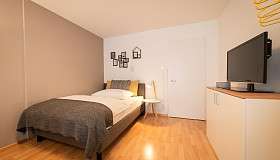 1 Zimmer Apartment Wohn Schlafzimmer