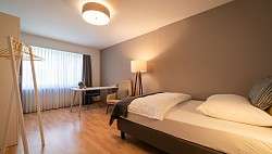 1 Zimmer Apartment Wohn Schlafzimmer