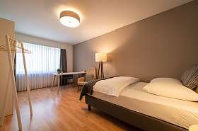 1 Zimmer Apartment Wohn Schlafzimmer